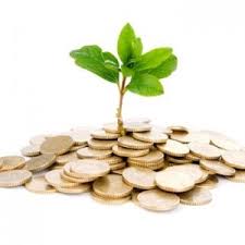 700% Returns – Why Buy Rental Property Investment Pro-Forma