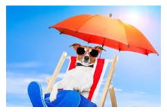 Business Management – Shake Off Those Summer Blues